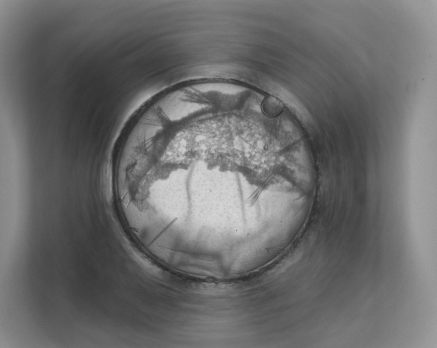 X0000111361079200907311008