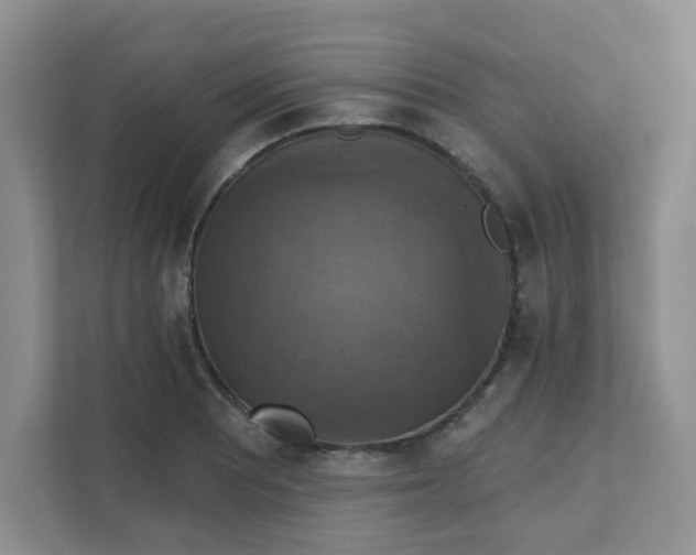 X0000111361081200907311008