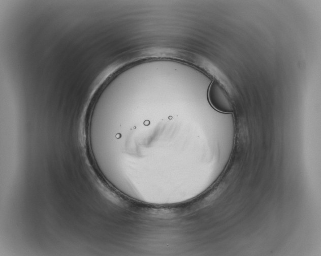 X0000111361082200907311008