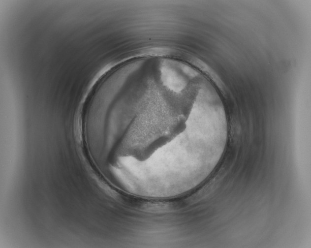 X0000111361083200907311008