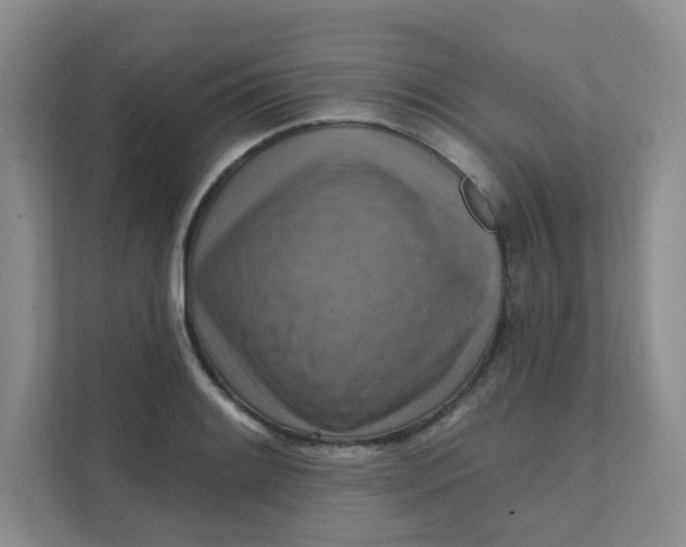 X0000111361084200907311008