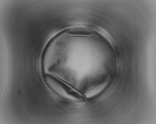 X0000111361085200907311008
