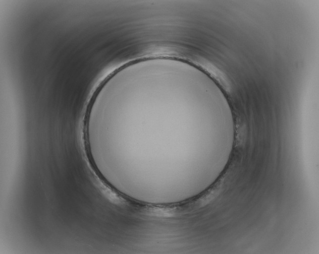 X0000111361086200907311008
