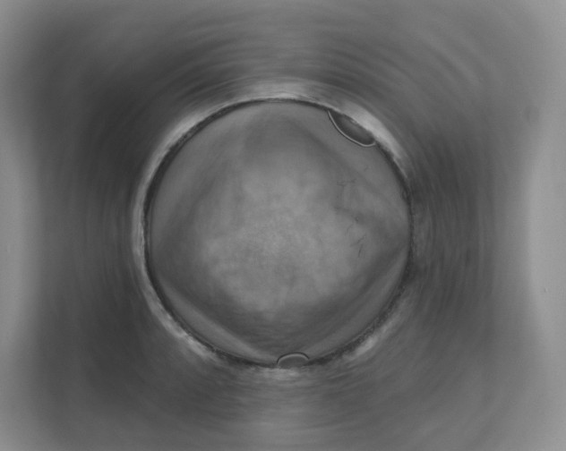 X0000111361088200907311008