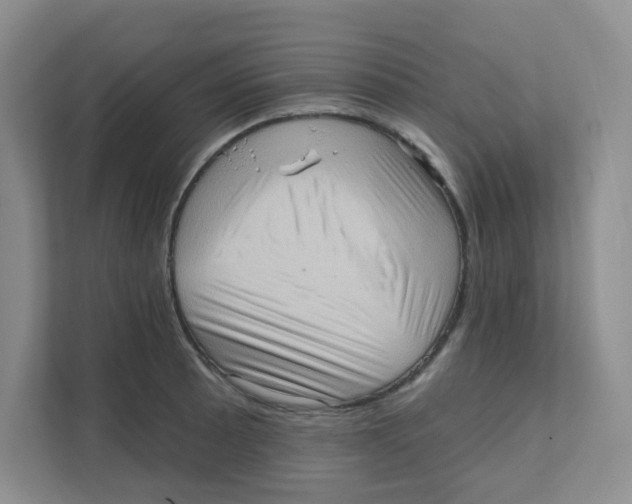X0000111361089200907311008