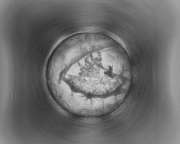X0000111361091200907311008