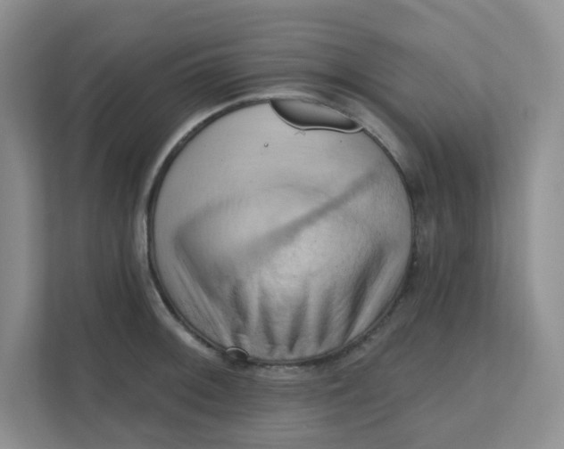 X0000111361092200907311008