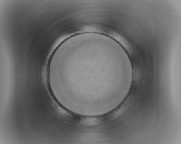 X0000111361094200907311008