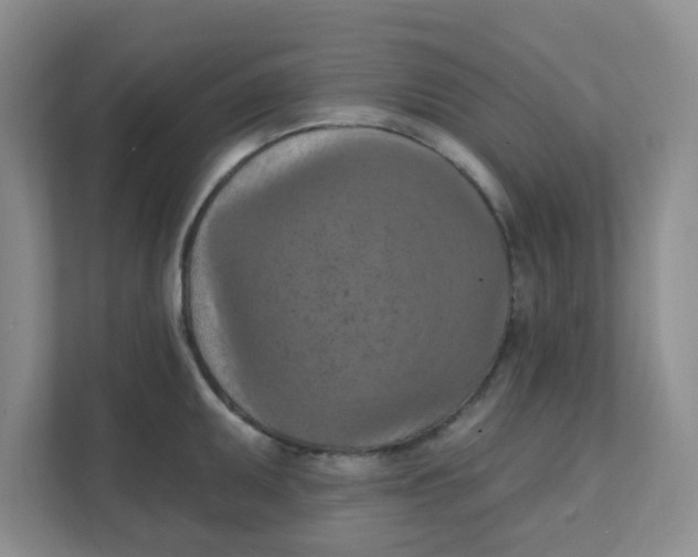 X0000111361095200907311008
