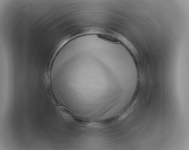 X0000111361097200907311008