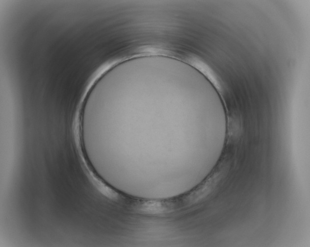 X0000111361098200907311008