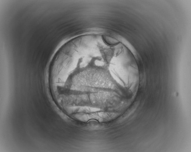 X0000111361099200907311008