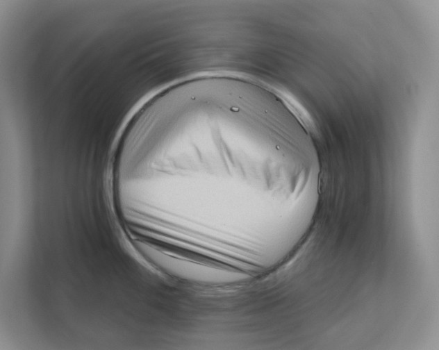 X0000111361100200907311008