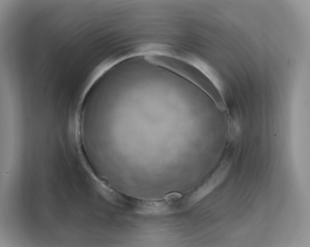 X0000111361101200907311008
