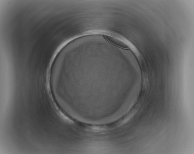 X0000111361102200907311008