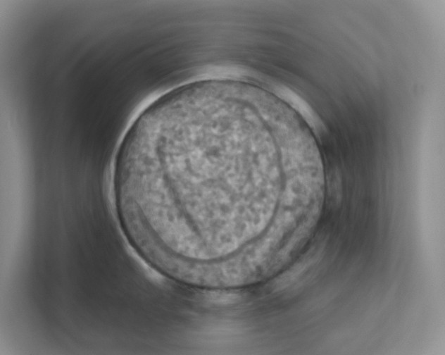 X0000111361103200907311008