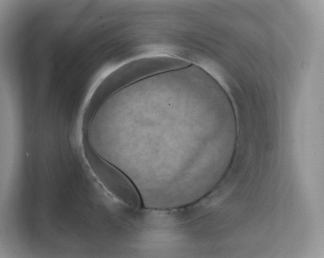 X0000111361104200907311008