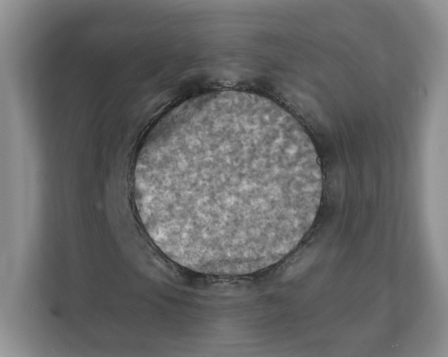 X0000111361105200907311007