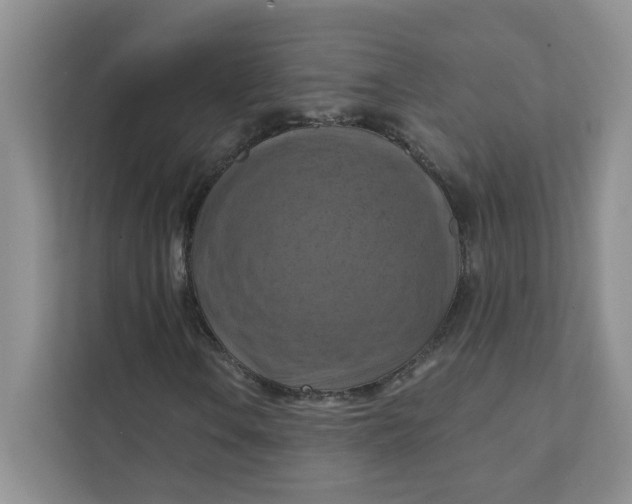 X0000111361106200907311007