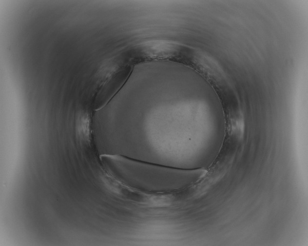 X0000111361108200907311007