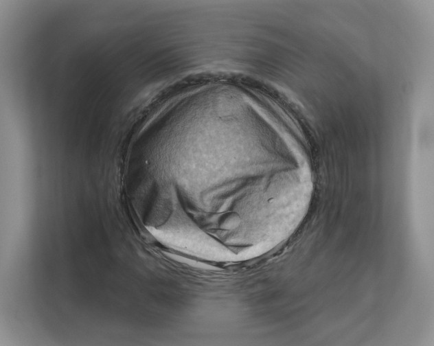 X0000111361110200907311007