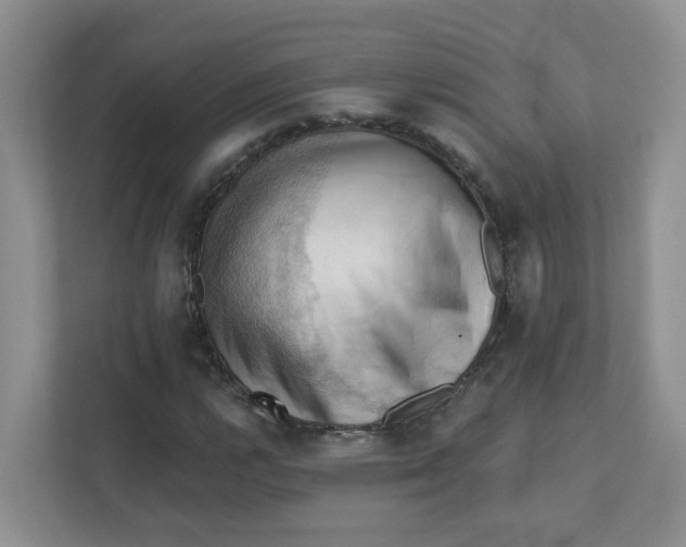 X0000111361112200907311007