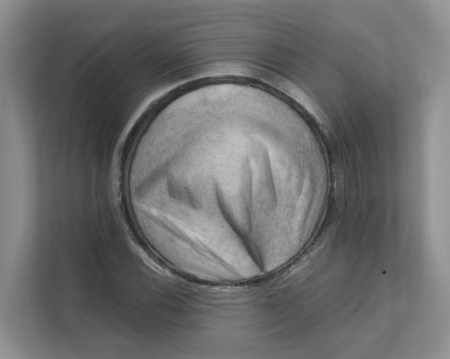 X0000111361116200907311007