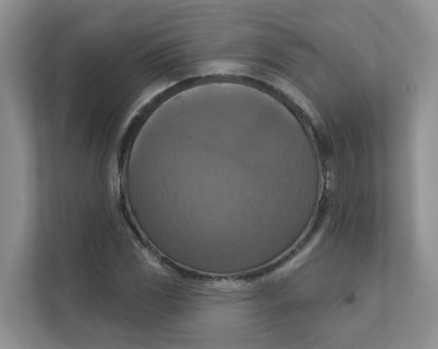 X0000111361117200907311007