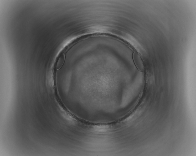X0000111361118200907311007