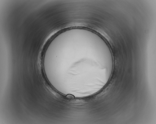 X0000111361119200907311007
