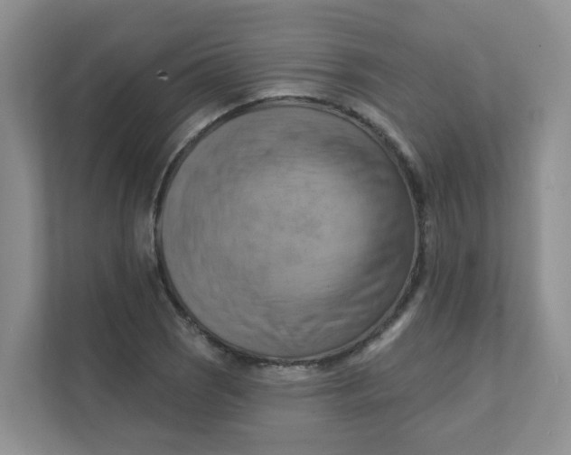 X0000111361121200907311007