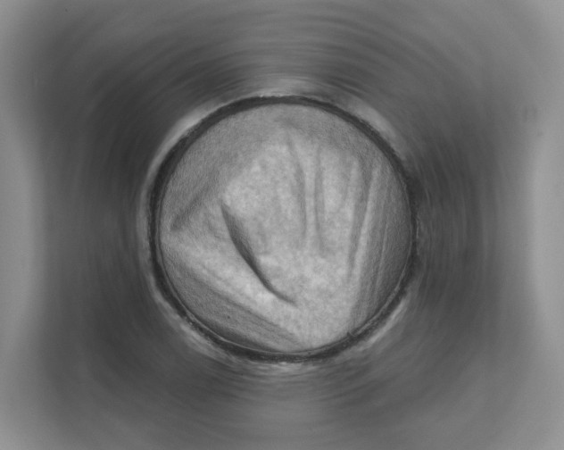 X0000111361122200907311007