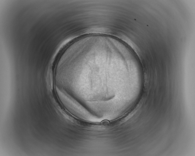 X0000111361123200907311007