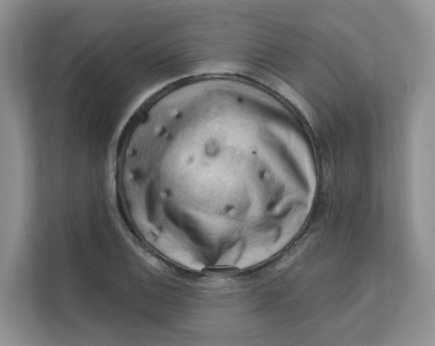X0000111361124200907311007
