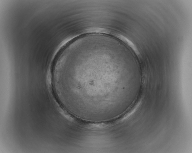 X0000111361125200907311007