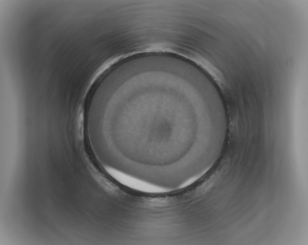 X0000111361126200907311007