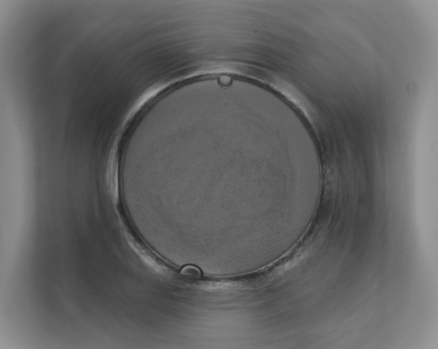 X0000111361127200907311007