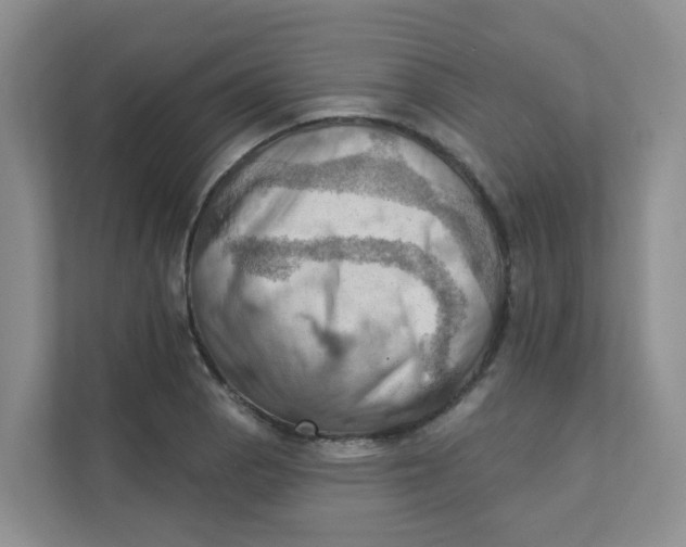 X0000111361129200907311007