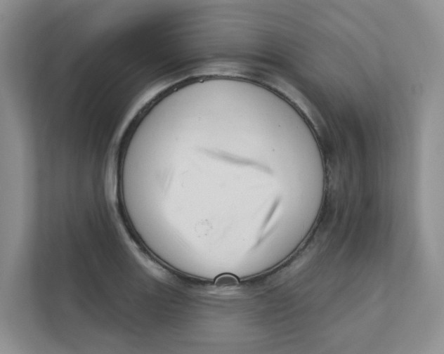 X0000111361131200907311007