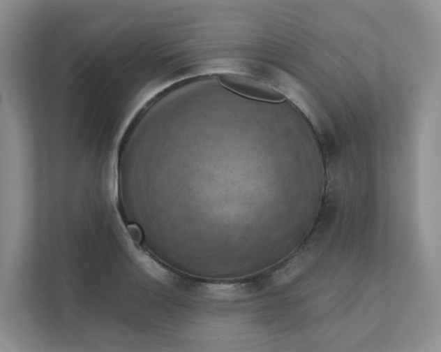 X0000111361132200907311007