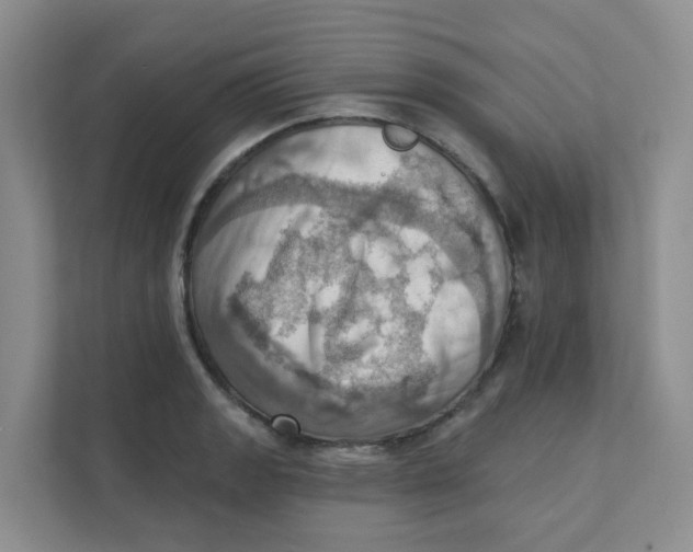X0000111361133200907311007