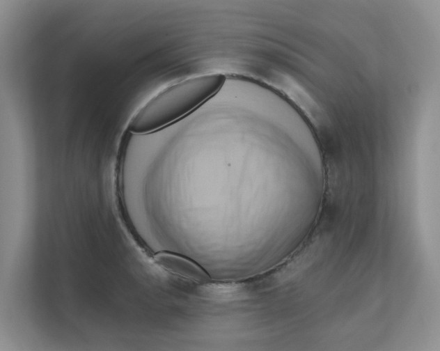 X0000111361134200907311007