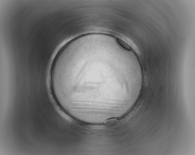 X0000111361136200907311007