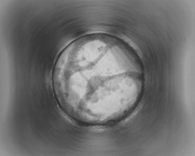 X0000111361137200907311007