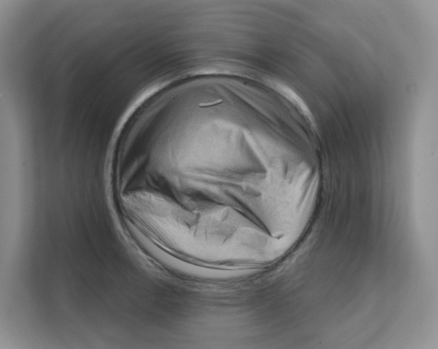 X0000111361138200907311007