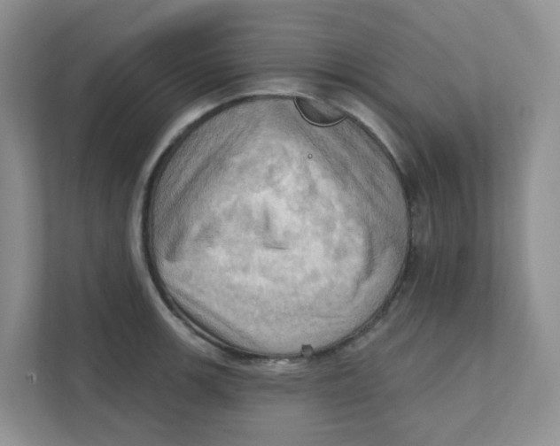 X0000111361139200907311007