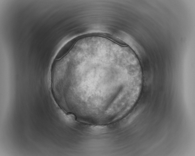 X0000111361140200907311007
