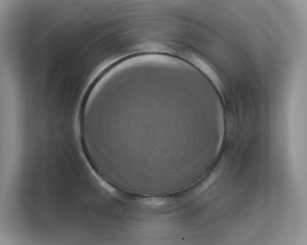 X0000111361141200907311007