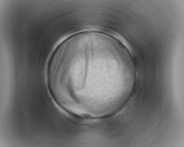 X0000111361143200907311007