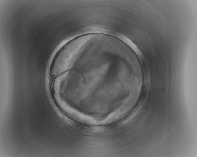 X0000111361144200907311007